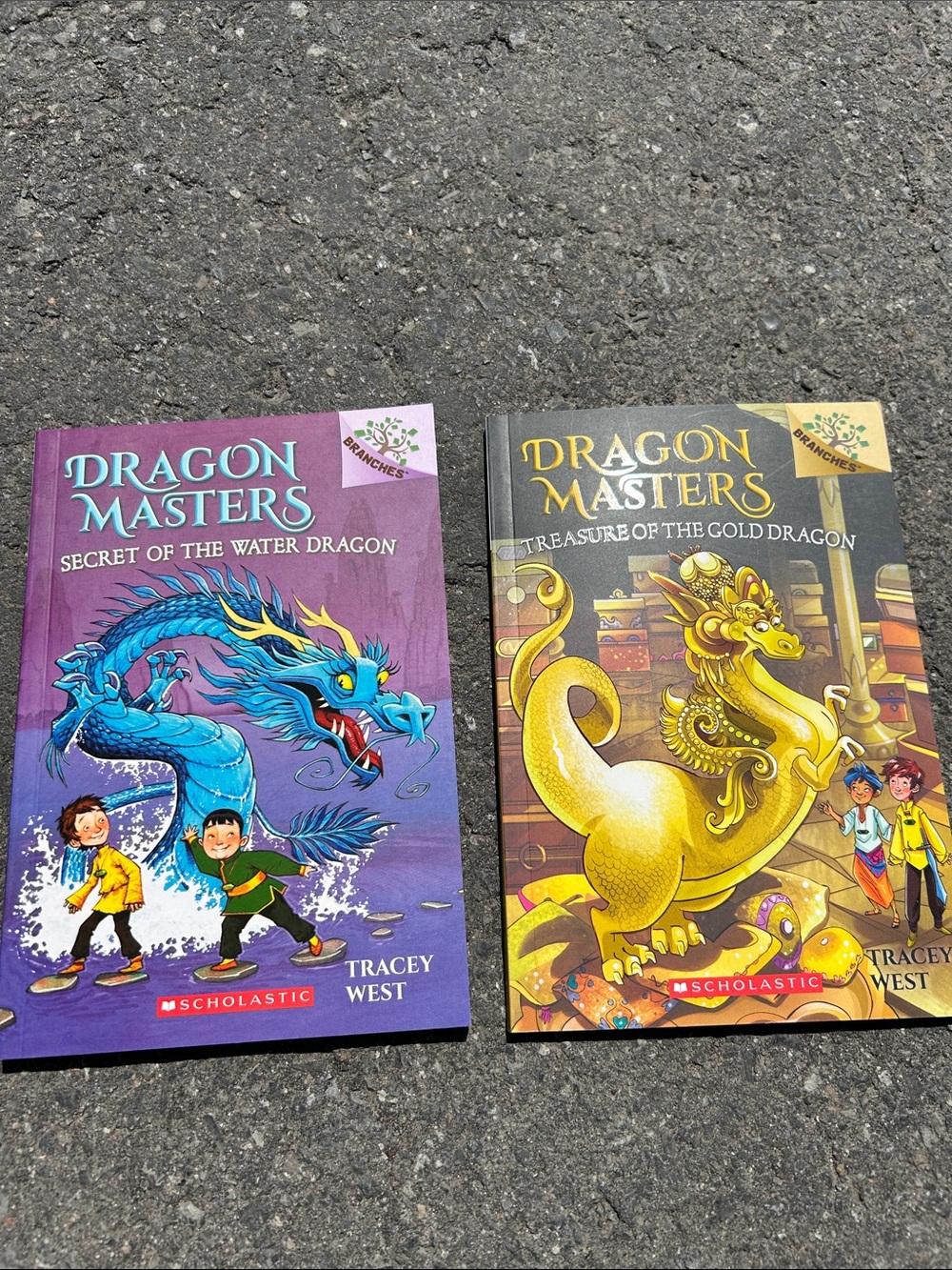 Dragon Masters books